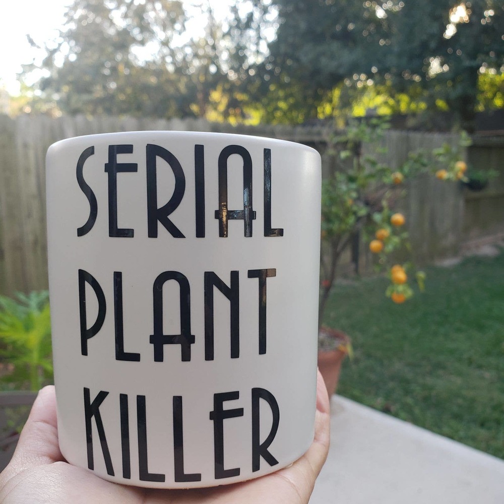 Funny serial plant killer ceramic planter for house plant